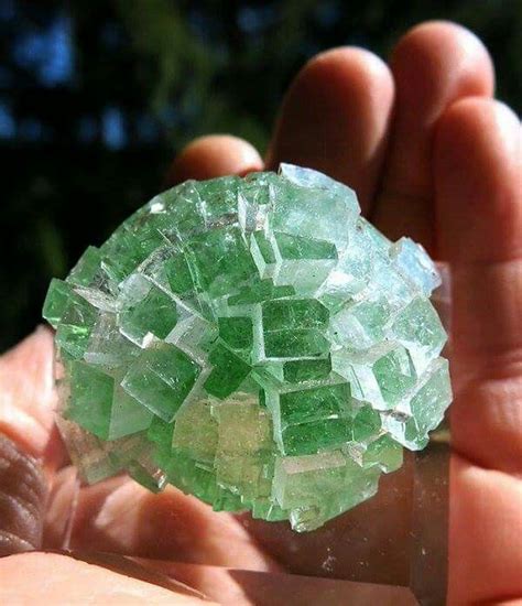 Small Cabinet Size Apophyllite "Disco Ball" Perfect Radial Crystal Cluster. Credit: Golden Hour ...
