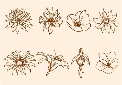Hand Drawn Flower Vector - Download Free Vector Art, Stock Graphics & Images