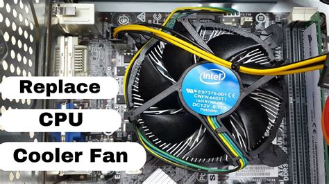 How To Repair A Cpu Fan - Behalfessay9