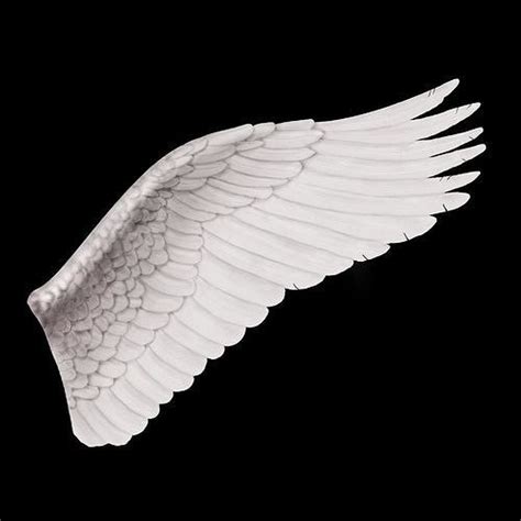 Angel wings 3d model - phoenikesilX