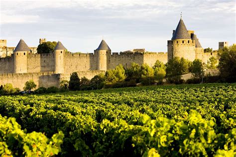 Languedoc Growers | Bruno Lafon Selection