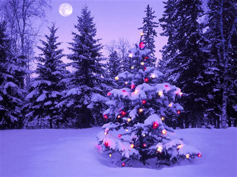 🔥 [50+] Purple Christmas Backgrounds | WallpaperSafari