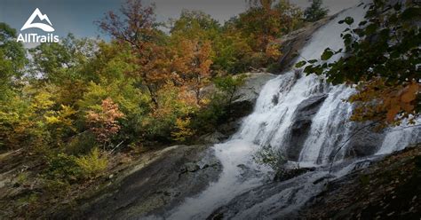 Best Trails in George Washington National Forest - Virginia | AllTrails