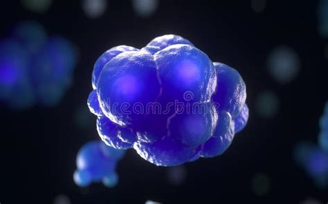 Cell division stock illustration. Illustration of human - 143034492