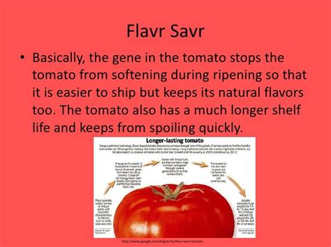 Genetically modified foods