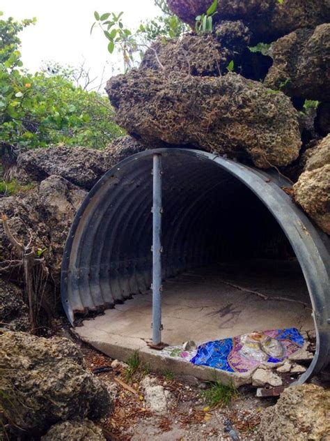 Modern Day Ruins: Crandon Park Zoo - Key Biscayne, Miami-Dade, Florida