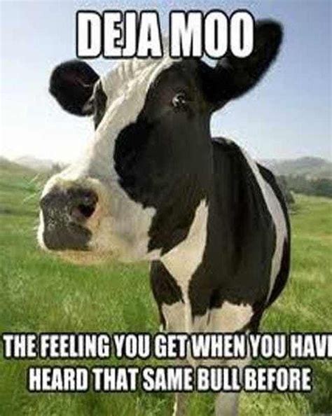 Deja Moo (08/02/20) Cow Meme, Cow Puns, Farm Animals, Funny Animals, Cute Animals, Funny Puns ...