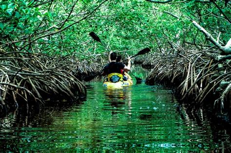 Baratang Island: Nature’s Secluded Retreat In Andaman