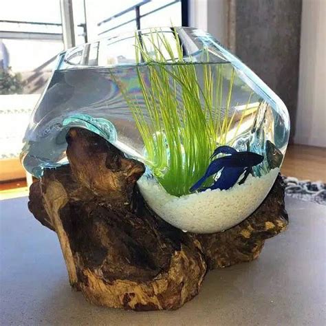 This item is unavailable | Etsy | Glass terrarium, Fish tank, Wood glass