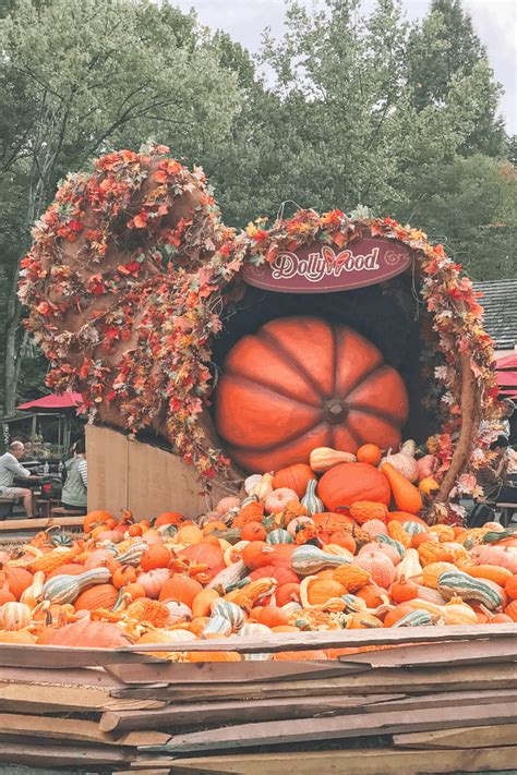 Dollywood Harvest Festival Cornucopia - Believe In A Budget