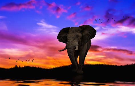 Elephant Painting Wallpapers - Wallpaper Cave