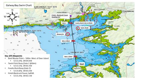 BAY SWIM CHART / MAP – Frances Thornton Memorial