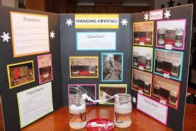 Kaylee wanted to create 'Hanging Crystals' as her science project this year. Kaylee was ...