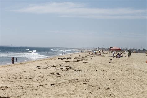 Bolsa Chica State Beach, a California State Park located near Aliso Viejo, Anaheim and Artesia