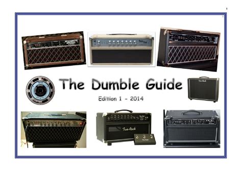 The Dumble Guide Edition 1 2014 | Dumble, Guitar amp, Electric guitar