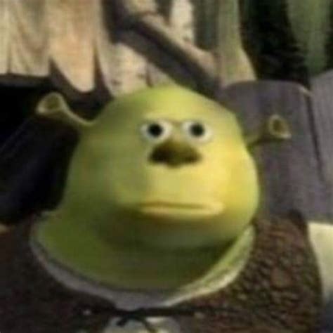 realizing shrek Blank Template - Imgflip