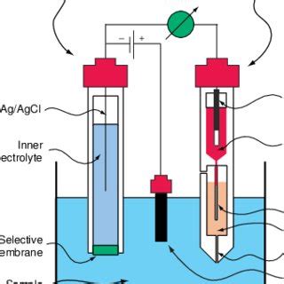 1: Experimental setup of the discussed amperometric ion sensor. The ...