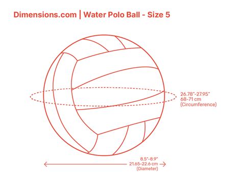 Water Polo Pool Dimensions & Drawings | Dimensions.com