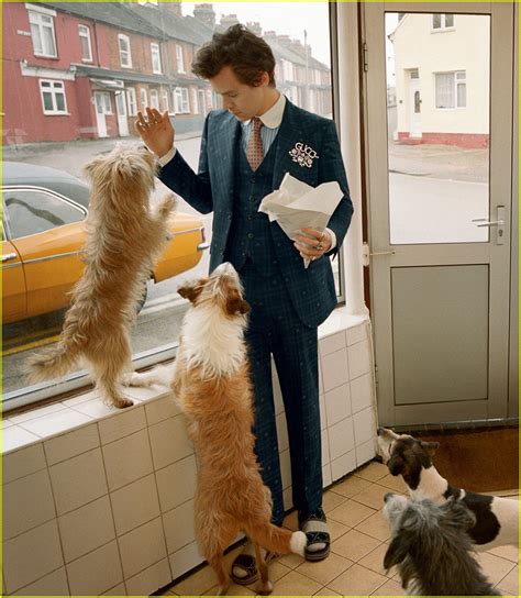 Harry Styles Has Some Special Guests for His Gucci Campaign: Dogs ...