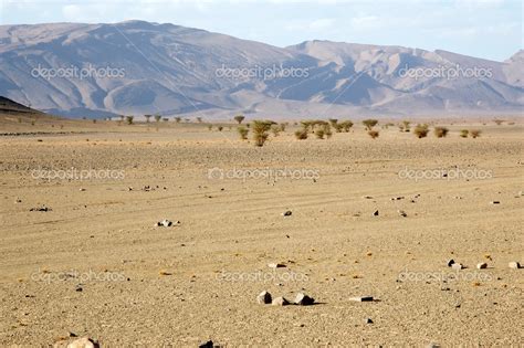 Flat desert landscape — Stock Photo © ajlber #16488445