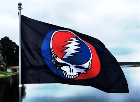 Steal Your Face Flag | Flag, Face, Steal