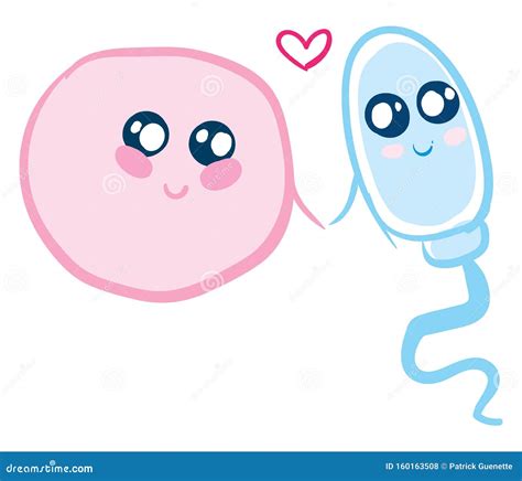 Love Human Egg Cell and Sperm, Vector or Color Illustration Stock Vector - Illustration of ...