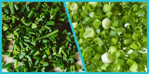 Are Green Onions And Chives The Same? Unveiling The Differences