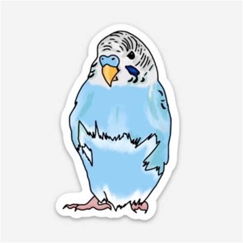 Angry Budgie 1.9in X 3in Matte Die Cut Sticker Yellow - Etsy