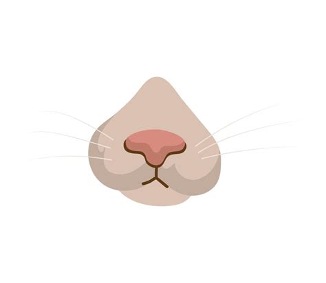 Vector illustration of cat nose 19021553 Vector Art at Vecteezy