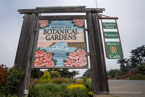 Mendocino Botanical Gardens Near Fort Bragg - California Through My Lens