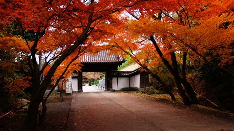 Autumn Wallpaper Japan | Meriang Wall