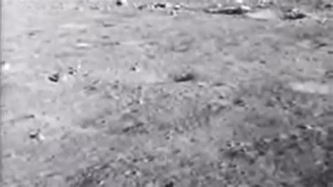 Neil Armstrong First Moon Landing 1969 - One News Page VIDEO