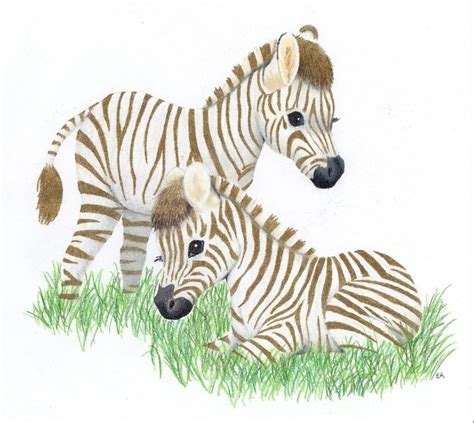 Baby Zebras by LabCreation on DeviantArt