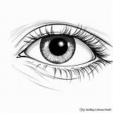 Eyes Coloring Page For Kids sketch template
