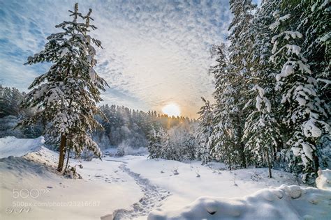 Photograph Winter in Siberia by Pavel Stasenko on 500px