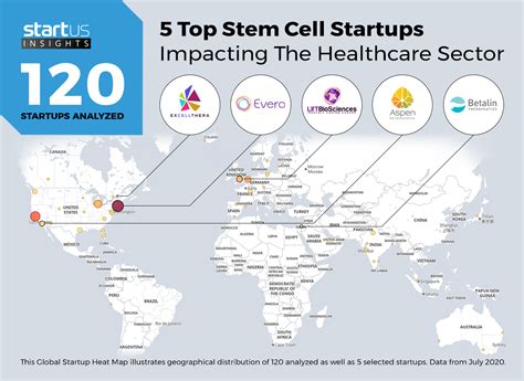 5 Top Stem Cell Startups Impacting The Healthcare Sector