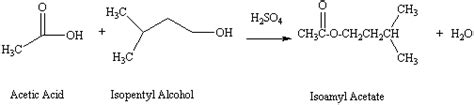 synthesis of isopentyl acetate lab report