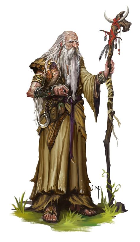 Elder Druid by caiomm on deviantART | Druid, Fantasy characters ...