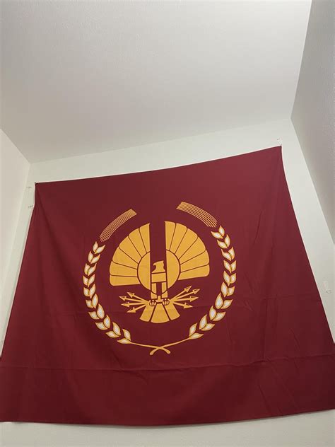 Flag of Panem from the Hunger Games franchise. : r/vexillology