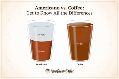 Americano vs. Coffee: Get to Know All the Differences