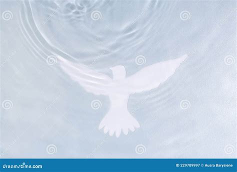 Silhouette of White Dove on Water Background. Baptism Symbol Stock Image - Image of christianity ...