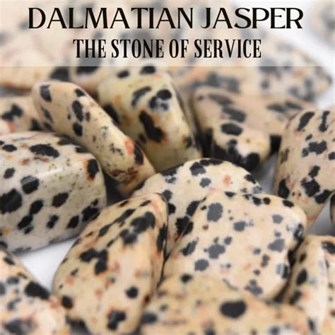 Dalmatian Jasper | Stone Information, Healing Properties, Uses