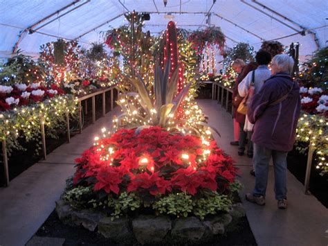 Festive lights adorn park conservatory | The Spokesman-Review