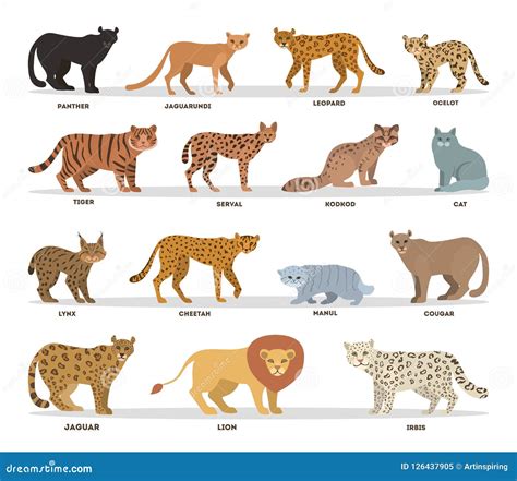 Wild and Dometic Cats Set. Collection of Cat Family Stock Vector - Illustration of flat, beast ...