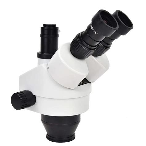 Ocular para microscopio WF10X, microscopio con zoom trinocular, microscopio ocular de 20 mm ...