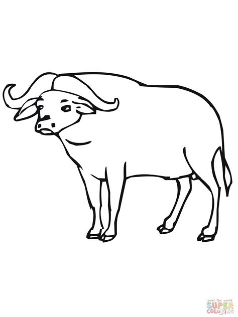 Carabao Drawing at GetDrawings | Free download