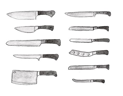 Different Types of Knives: An Illustrated Guide | Craftsy