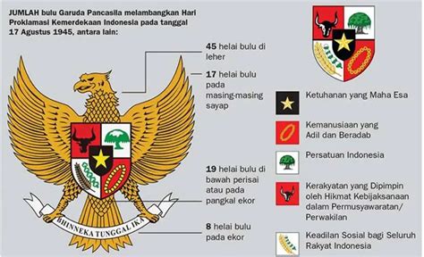 Banyak Bulu Pada Sayap Burung Garuda - Homecare24