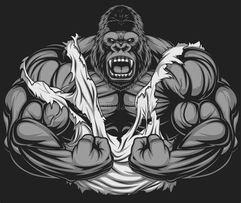 Terrible gorilla athlete. Vector illustration, ferocious gorilla ...