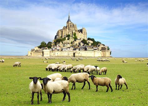 Tailor-Made Vacations to Mont Saint-Michel | Audley Travel US